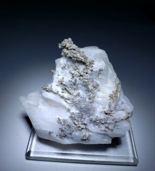 Wow - Native Silver Dyscrasite Crystals On Fluorescent Calcite,  Mine Morocco
