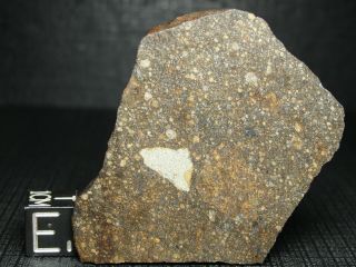Nwa 7777 Official Meteorite - H3.  8 - W2 Chondrite - G290 - 0002 - 15.  82g W/coa/slice