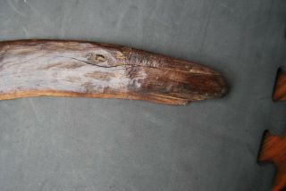 Stone cut Aboriginal boomerang 19th Century Southern Australian MUSEUM QUALITY 2