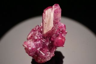 Classic Manganoan Vesuvianite Crystal Cluster Jeffrey Mine,  Canada