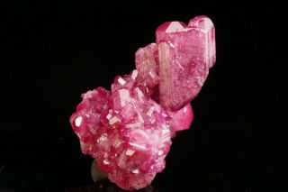 CLASSIC Manganoan Vesuvianite Crystal Cluster JEFFREY MINE,  CANADA 2