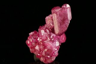 CLASSIC Manganoan Vesuvianite Crystal Cluster JEFFREY MINE,  CANADA 3
