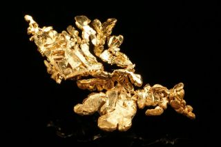 Native Gold Crystal Cluster De Maria Mine,  California - Ex.  Barlow