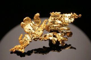 Native Gold Crystal Cluster DE MARIA MINE,  CALIFORNIA - Ex.  Barlow 2