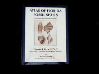 Atlas Of Florida Fossil Shells By Dr.  Edward J.  Petuch Ph.  D.  - Copylot 6338