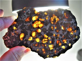 Museum Quality Crystals Brahin Pallasite Meteorite 79 Gms