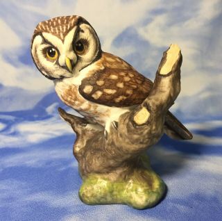 Htf Vintage Boehm " Boreal Owl " Hand Painted Porcelain Bird Figurine 20076 Euc