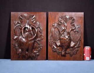 Antique French Hunting Style Carved Panels In Solid Oak Wood Salvage