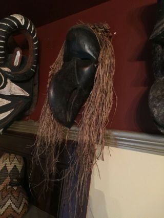 African Tribal Art Dan Bird Mask Côte D’ivoire