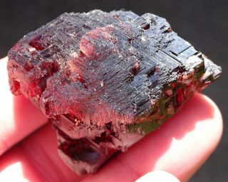 Mw: SPESSARTINE GARNET Etched Crystal - Navegadora Mine,  Brazil - 92.  9 grams 3
