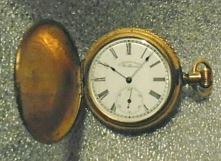 Antique American Waltham Pocket Watch In Ornate Stag Gold Plated Case