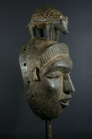 African Je Mask With Fabel Animal - Guro - Ivory Coast,  Tribal Art,  African Art