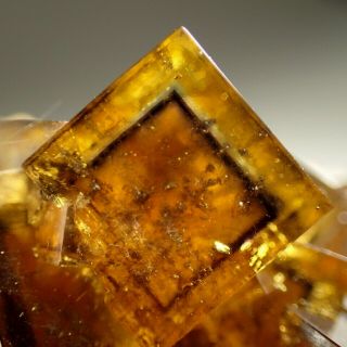 Fluorite Golden - Yellow Purple - Blue Zoned Crystals Frohnau,  Germany