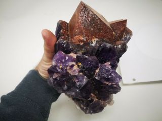 Large Amethyst Crystal Cluster From Thunder Bay.  Awesome Colors.