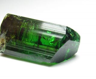 Superior Glowing Top Gem Chrome Tourmaline Crystal Commander Mine Tanzania