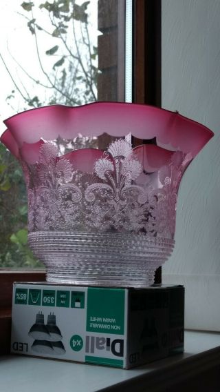 Victorian Ruby/cranberry And Clear Glass Etched Tulip Oil Lamp Shade