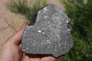 Impact Melt Meteorite Nwa End Cut 497.  2 Grams Under Classification