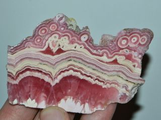 100 Mm Rhodochrosite Stalactite Slab From Argentina Aaa Deep Red