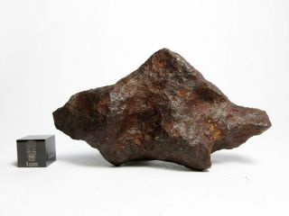 Mundrabilla Iron Meteorite 172.  69g Stunning Siderite Showpiece