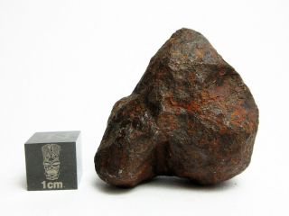 Mundrabilla Iron Meteorite 73.  86g Stunning Siderite Showpiece