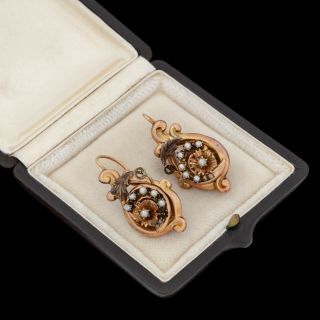 Antique Vintage Nouveau 14k Bi Gold Aesthetic Movement Swirl Seed Pearl Earrings