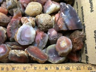 Z Swali / Swazi Rose Agate Rough Fr Mozambique,  Africa 37 Lbs