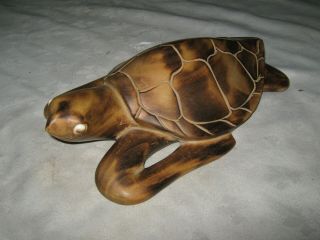 A Large 13 " Pacific Tribal Decorative Ornamental Wood Carved Sea Turtle