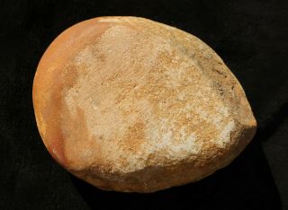 Old Aboriginal Small Stone Axe Tambaroora Nsw 8.  5cm
