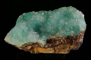 Aesthetic Quartz On Aurichalcite Crystal Cluster Hidden Treasure Mine,  Utah