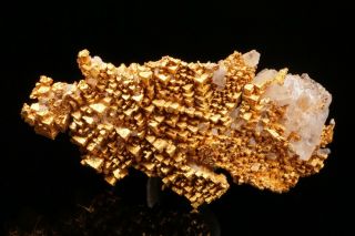 Unique Cubic Native Gold Crystal Cluster Round Mountain,  Nevada