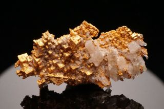 UNIQUE Cubic Native Gold Crystal Cluster ROUND MOUNTAIN,  NEVADA 2