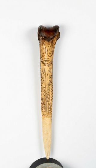 Papua Guinea Cassowary Bone Dagger,  Incised Designs 2