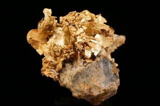 Rare Old Native Gold Crystal Cluster Dixie Mine,  Colorado