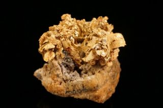 RARE OLD Native Gold Crystal Cluster DIXIE MINE,  COLORADO 3