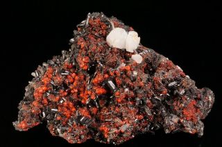 Aesthetic Gaudefroyite,  Andradite Garnet & Calcite Crystal Cluster South Africa