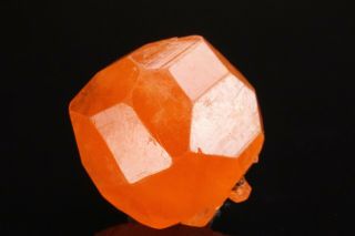 Extraordinary Orange Spessartine Garnet Crystal Little 3 Mine,  California