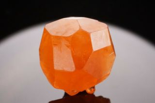 EXTRAORDINARY Orange Spessartine Garnet Crystal LITTLE 3 MINE,  CALIFORNIA 2