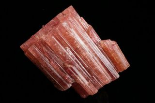 CLASSIC Rubellite Tourmaline Crystal with Quartz MALKHAN,  RUSSIA 3