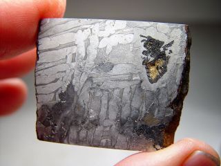 Sensational Seymchan Iron Meteorite W/ Olivine Crystals 37.  8 Gms