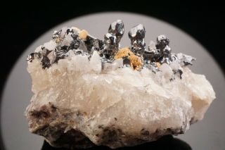 Extraordinary Old Acanthite & Polybasite On Calcite Crystal Krao Mine,  Canada