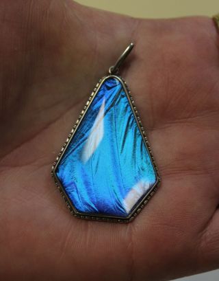 Vtg Sterling Silver Brilliant Blue Morpho Butterfly Wing Large Necklace Pendant