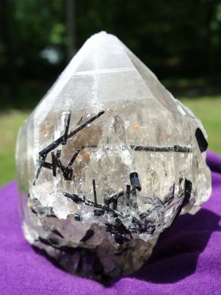 Black Tourmaline Crystals In Double Terminated Quartz W Growth Interuption