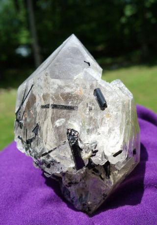 Black Tourmaline Crystals in Double Terminated Quartz w Growth Interuption 3