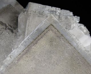Fluorite Crystals W/ Internal Pyrite Phantoms From La Viesca Mine - Asturias