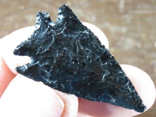 Obsidian Elko Eared Point,  Warm Springs,  Harney Co. ,  Oregon X Anderson