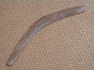 Antique Australian Aboriginal Returning/hunting Boomerang - Tooth Tula Carvings