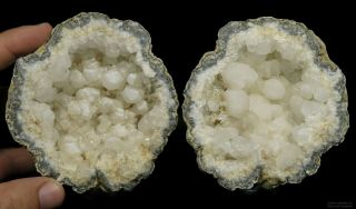 Multiple Barrel Calcite Crystals On Quartz 4 - 1/2 " Blue Rind Keokuk Geode