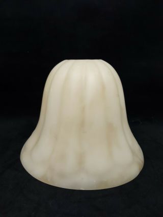 Torchiere Ribbed Alabaster Tan Stone Light Lamp Shade