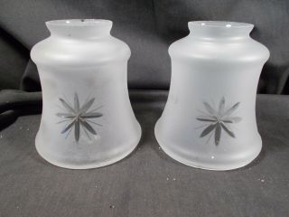 Victorian Starburst Frosted Glass Electric Lamp Fixture Glass Shades