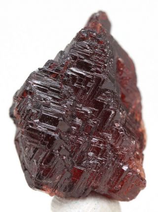 SPESSARTITE Gemmy Garnet Crystal cluster Mineral Specimen NAVEGADOR MINE BRAZIL 2
